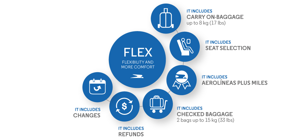Aerolineas argentinas baggage on sale allowance