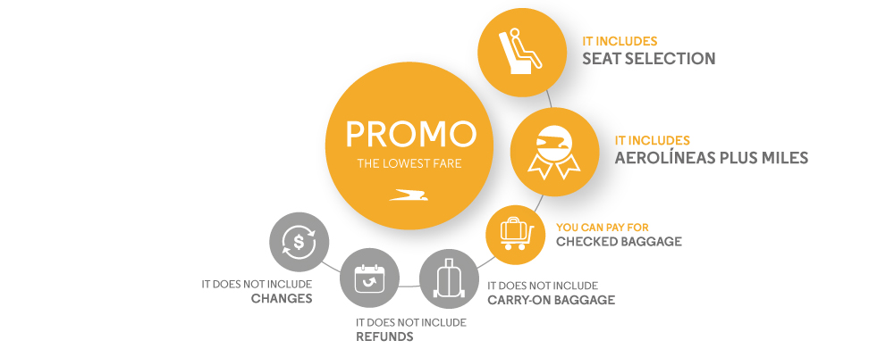 Aerolineas argentinas on sale baggage allowance